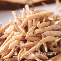 akar ginseng merah korea